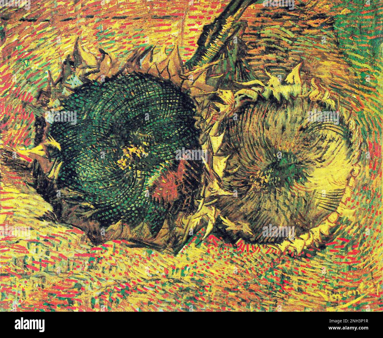 Vincent van Gogh's Two Cut Sunflowers (1887) famous painting. Original from Wikimedia Commons. Stock Photo