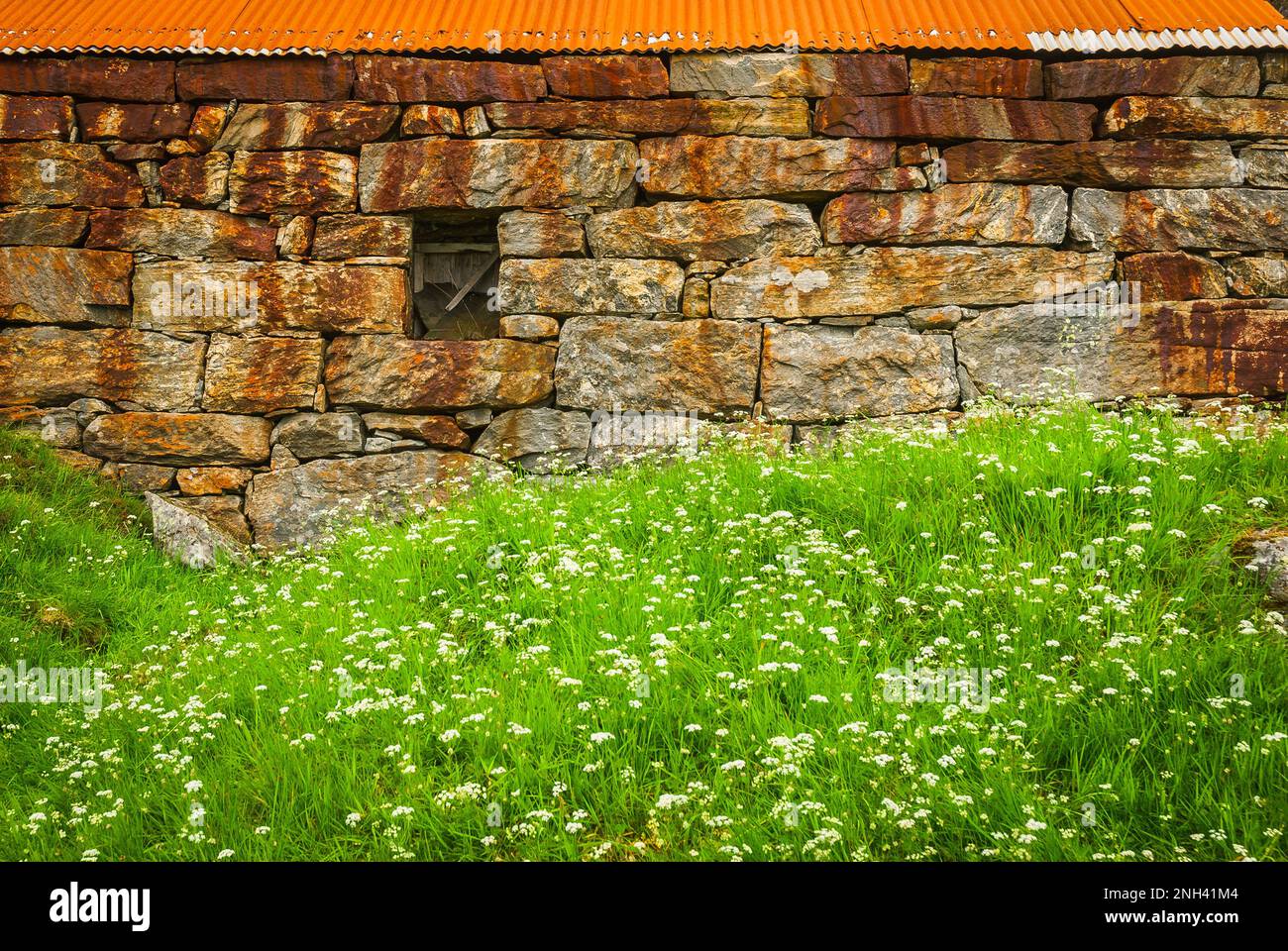 Old stone wall with rust and green grass Stock Photo - Alamy