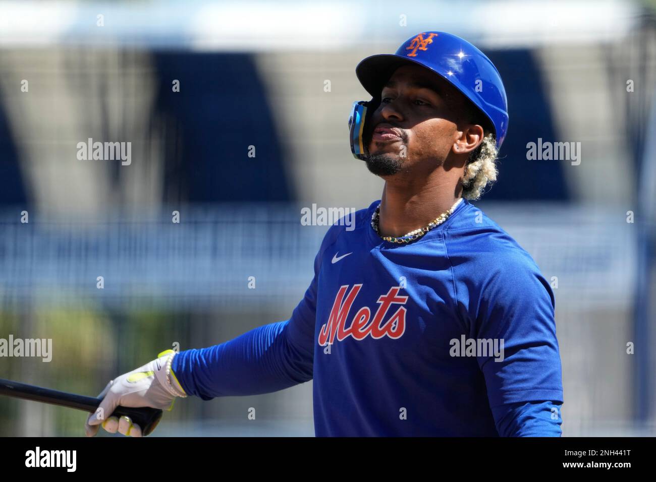 New York Mets' Francisco Lindor pauses while taking live batting