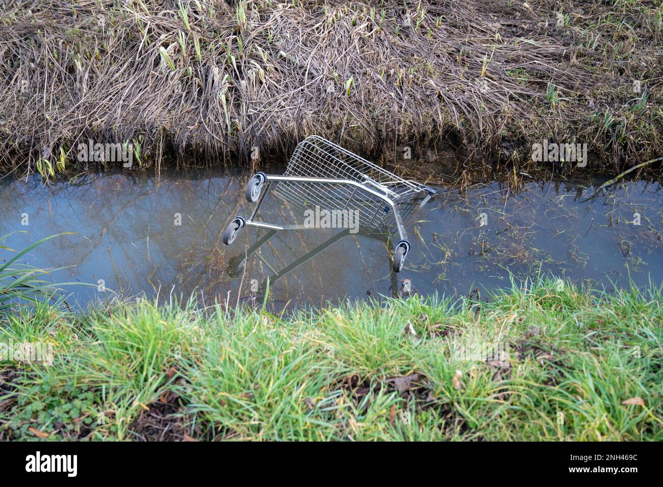 A supermaket shopping trolley dumped in a ditch full of water causing litter and damage to the environment. Stock Photo