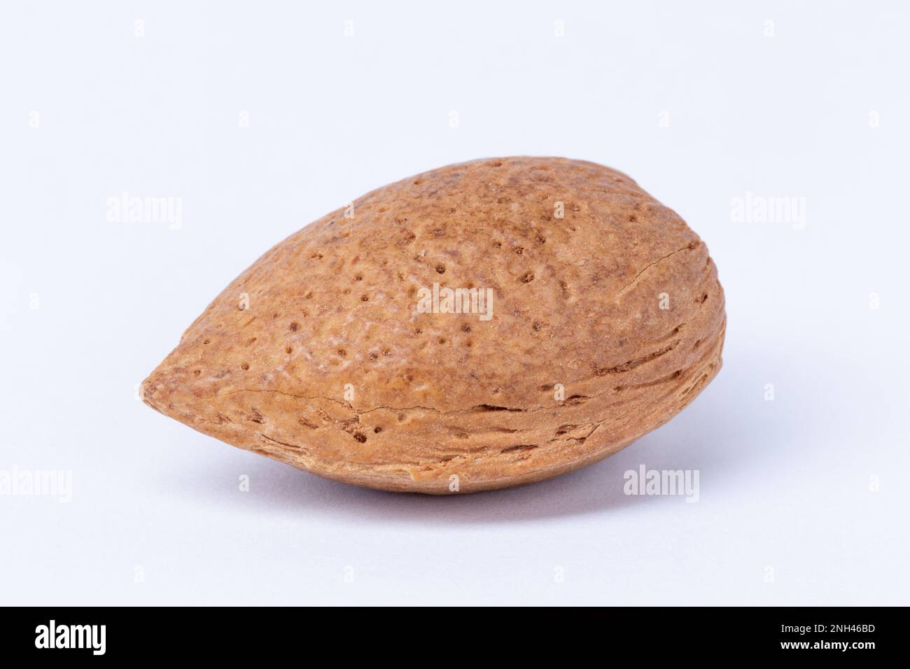 A pecan nut on a white background Stock Photo