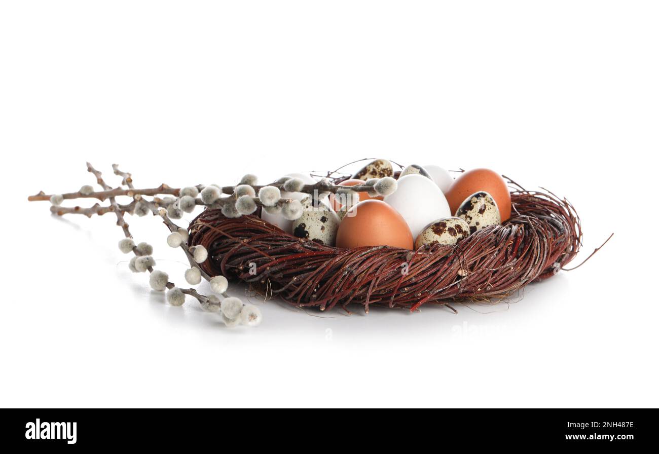 Nest with different Easter eggs and willow branches on white background ...