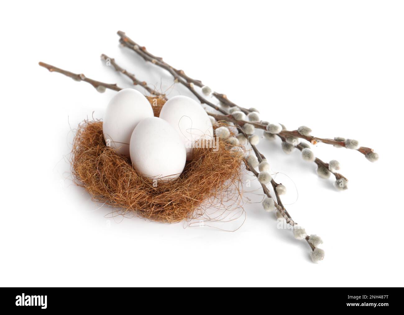 Nest with Easter eggs and willow branches isolated on white background ...