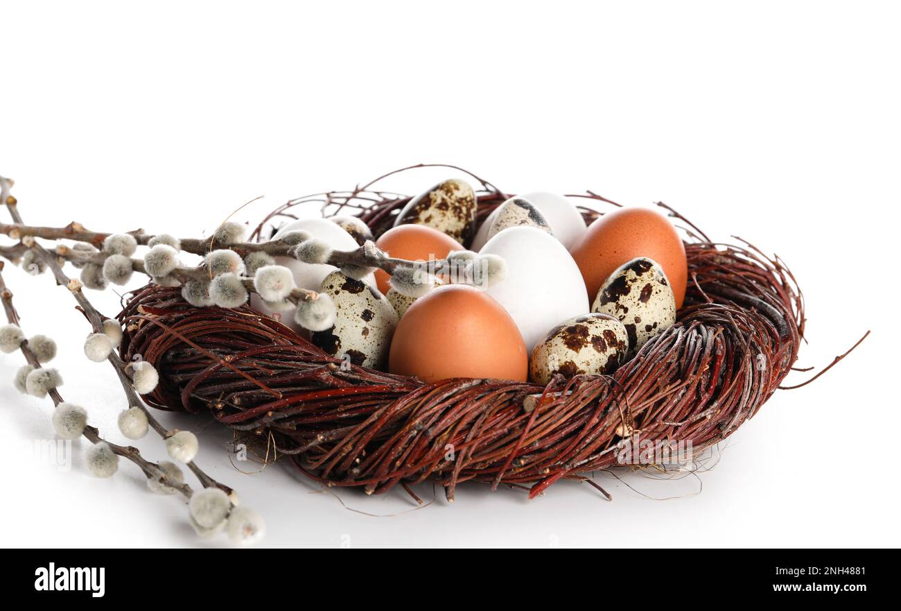 Nest with different Easter eggs and willow branches on white background ...