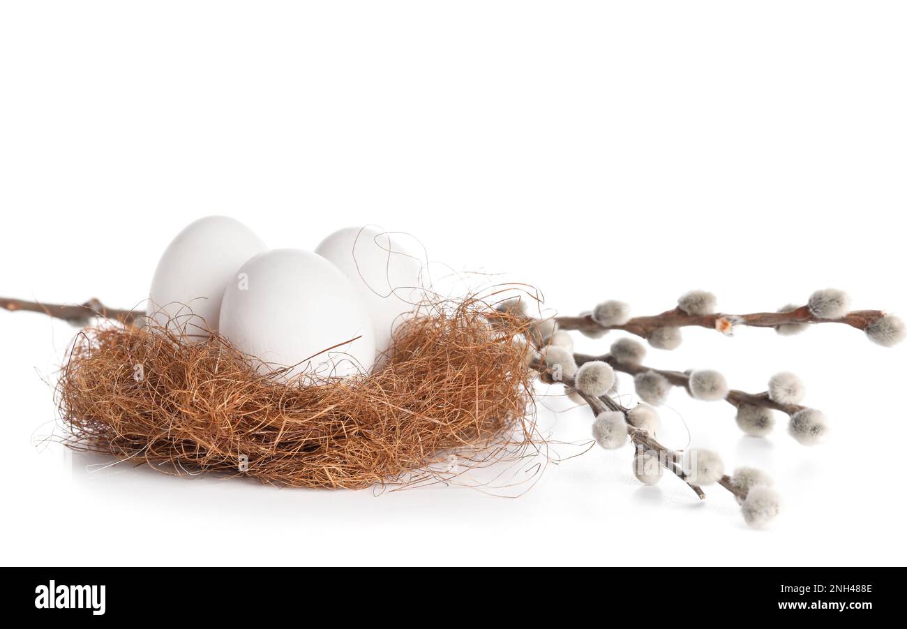 Nest with Easter eggs and willow branches isolated on white background ...