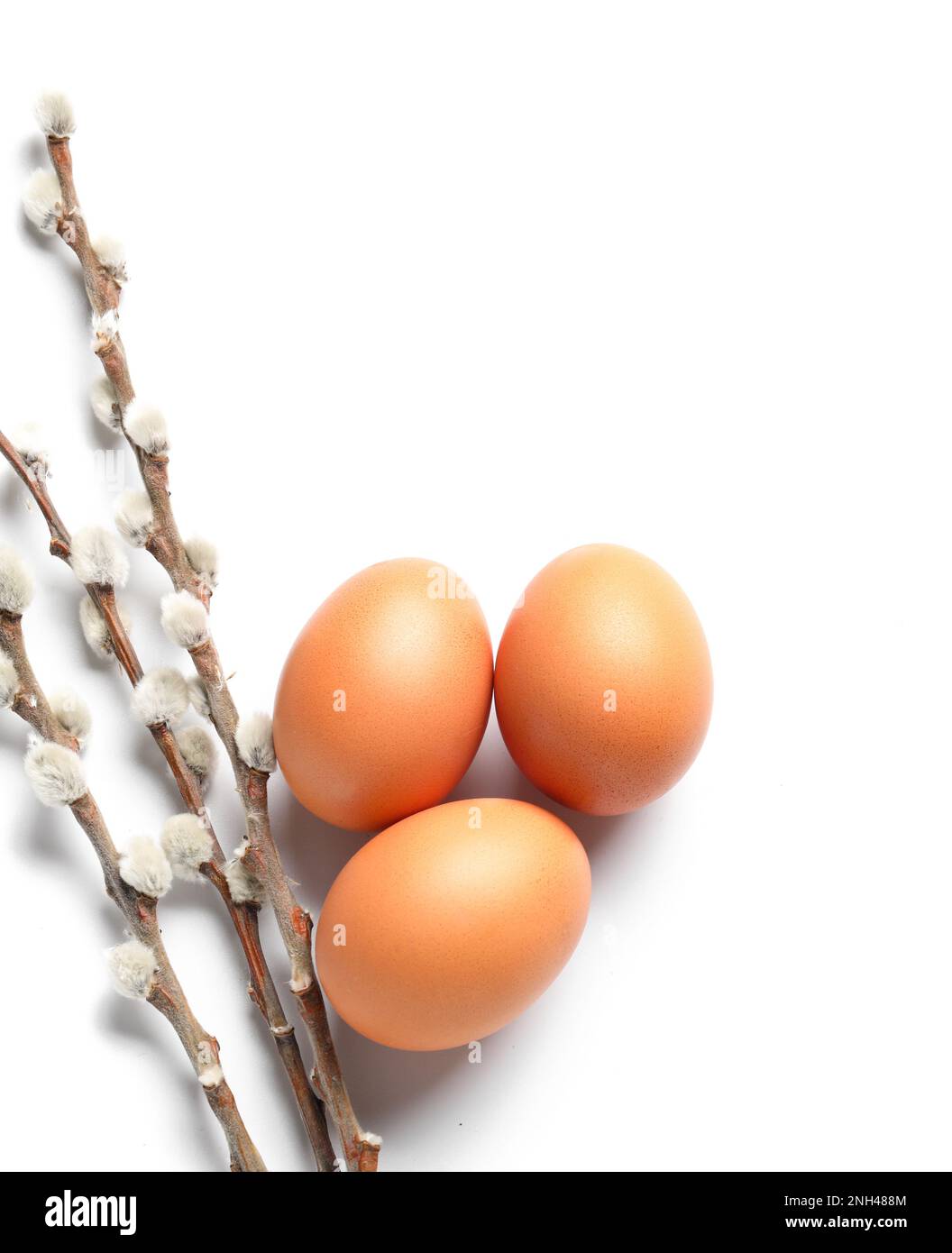 Easter eggs with willow branches on white background Stock Photo - Alamy