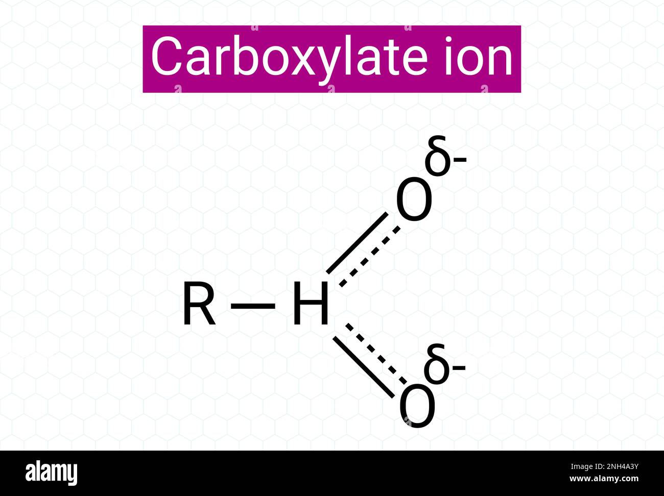 Chemical structure of Carboxylate ion Stock Vector