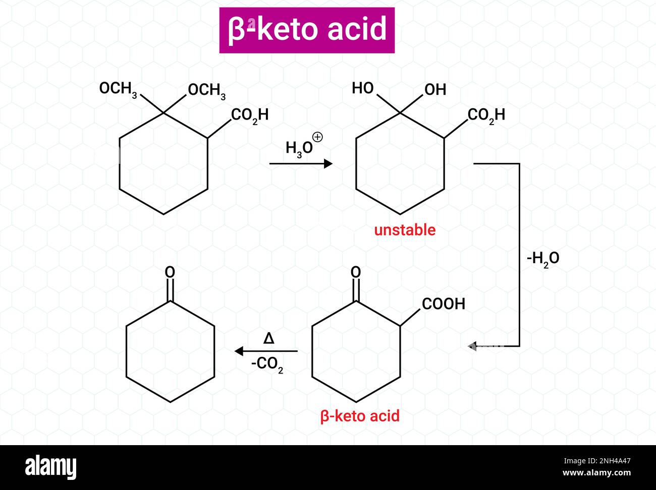 Chemical structure of beta keto acid Stock Vector