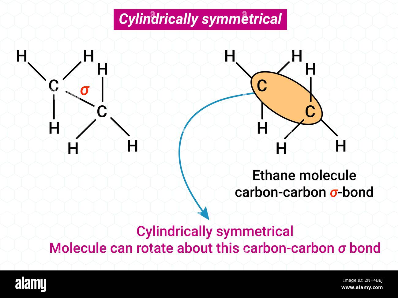 Conformational Isomerism Cylindrically symmetrical or conformers Stock Vector Image & Art Alamy