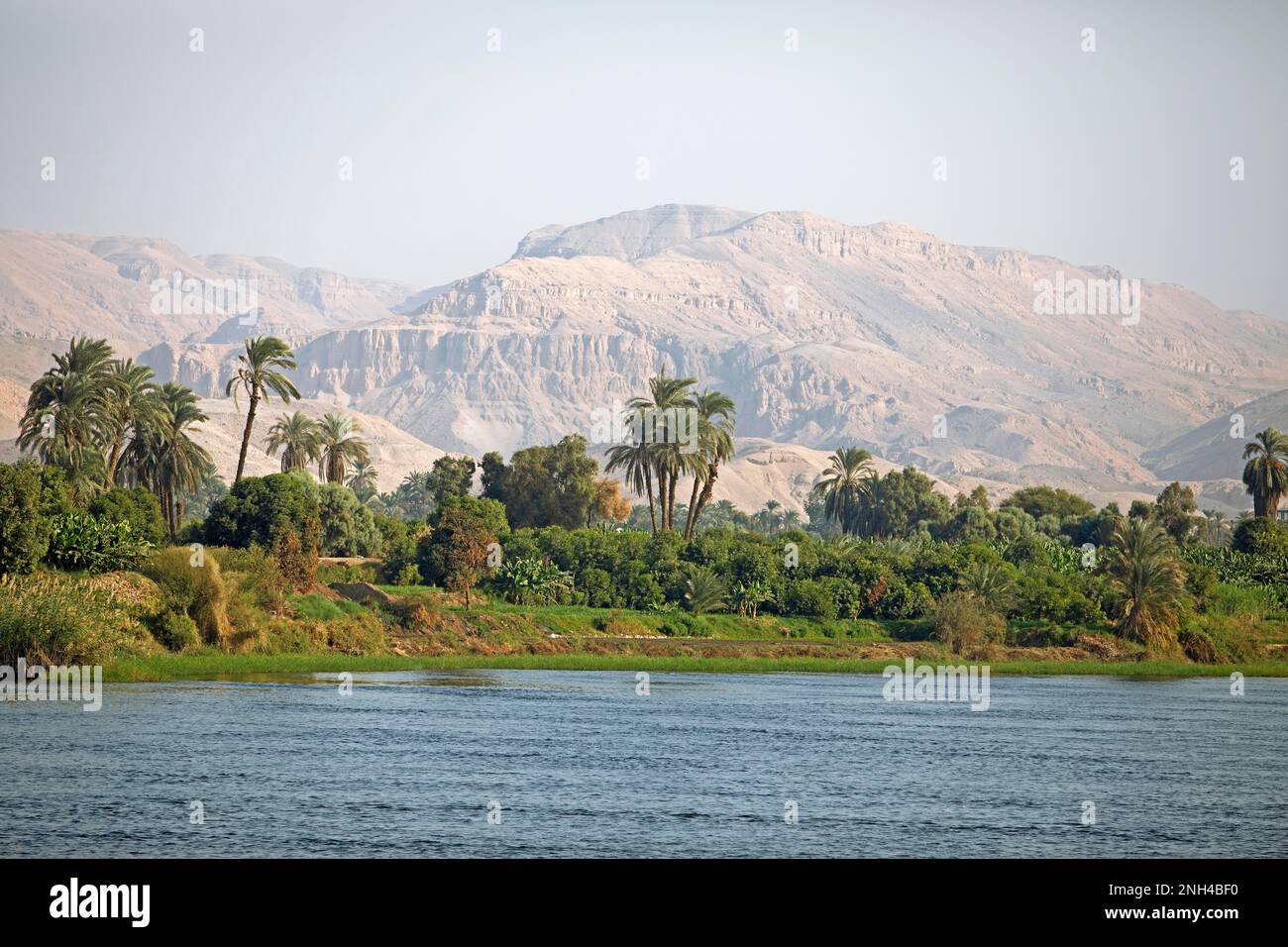 Landscape on the banks of the Nile, Eastern Desert in the background, Egypt Stock Photo