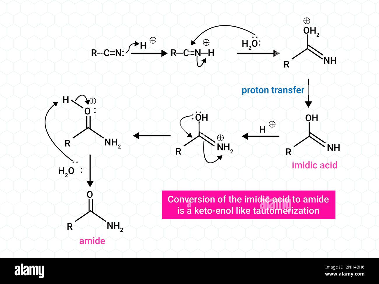 Conversion of the imidic acid to amide Stock Vector