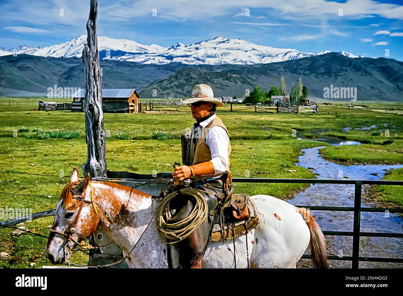 Cowboy on pied horse with vaquero western chaps (chinks), inspection of pastures, Sierra Nevada Mountains in the back, ranch in California, near Stock Photo