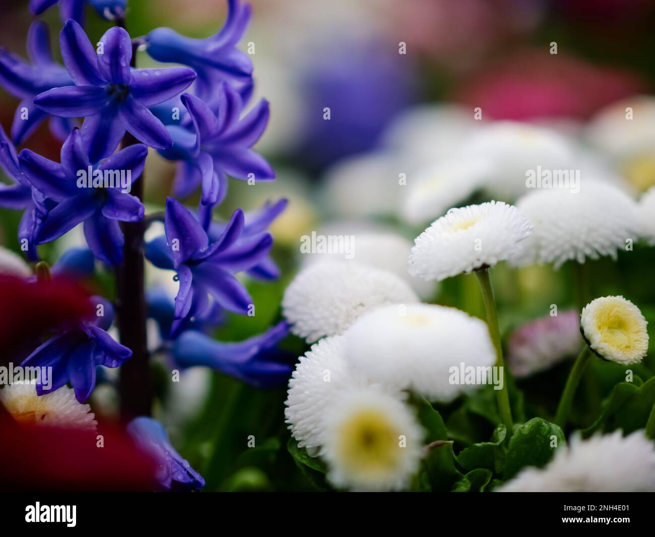 Spring season vibes hi-res stock photography and images - Alamy