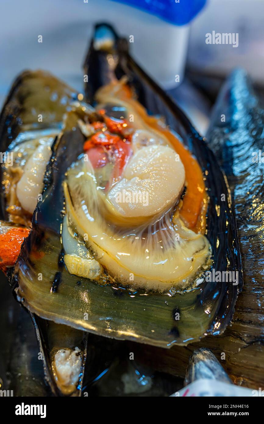 Tokyo Japan. Fish Market. Big mussel Stock Photo
