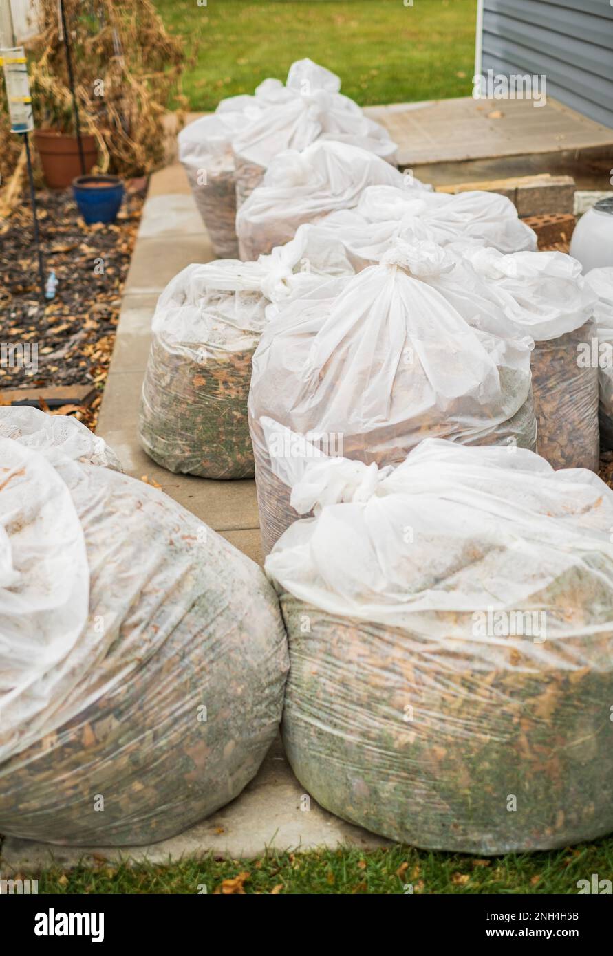 Large white lawn bags full of gathered leaves after a gardening job