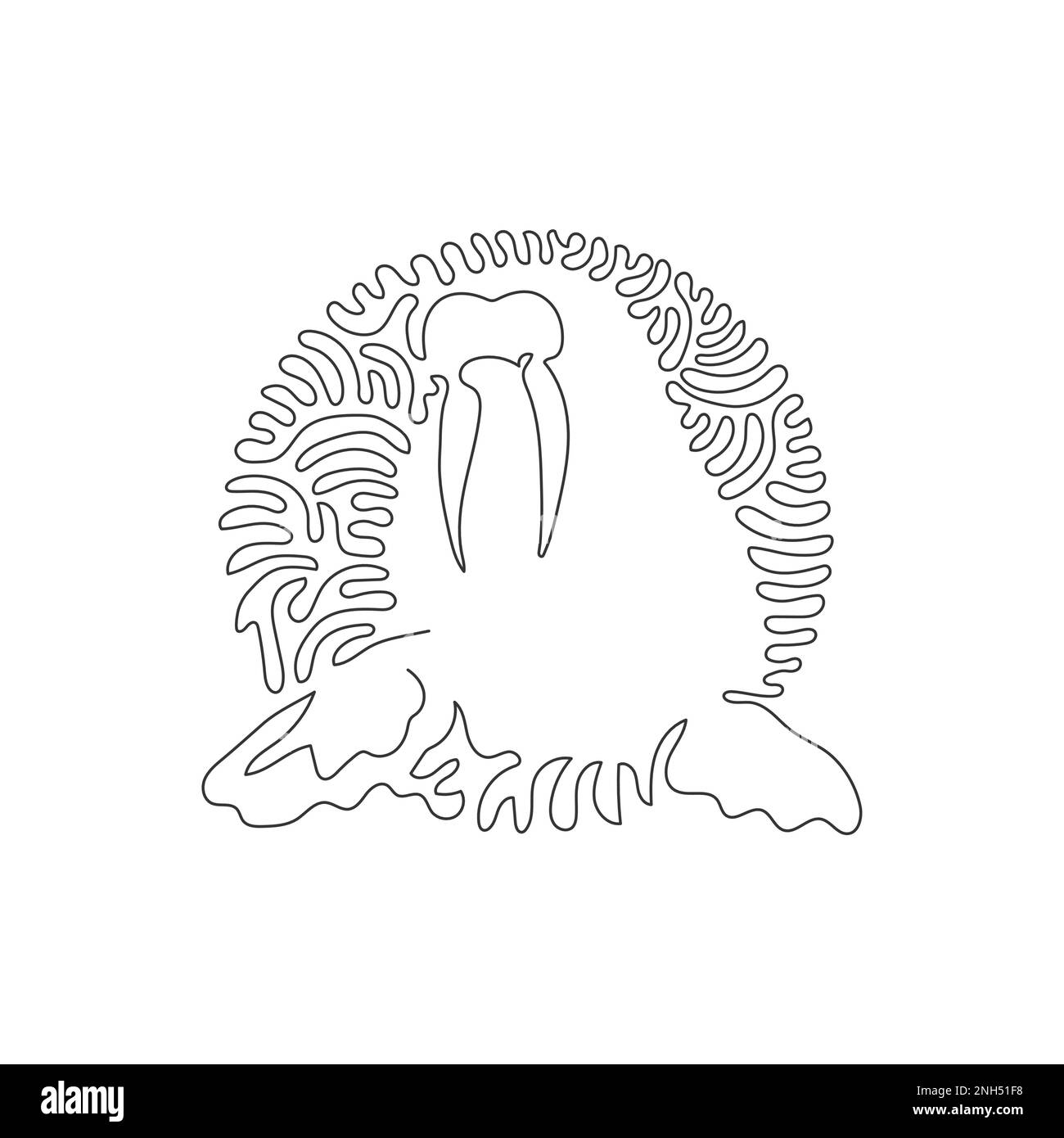 Continuous curve one line drawing of long tusks walrus abstract art. Single line editable stroke vector illustration of walrus socials animal Stock Vector