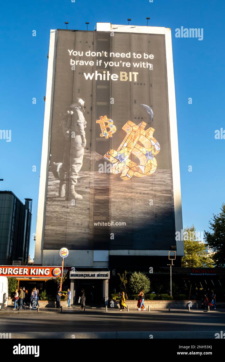 Whitebit hi-res stock photography and images - Alamy