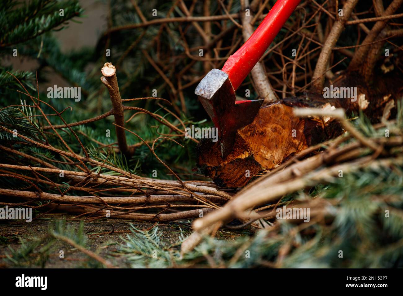 Close-up image of an axe in the Christmas fir tree trunk Stock Photo