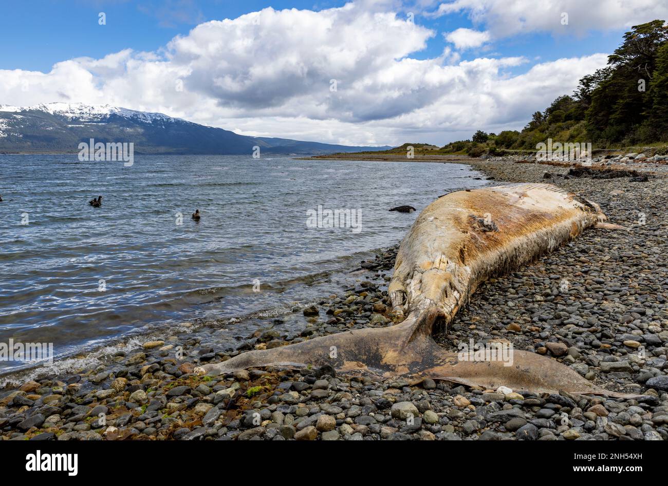 Puerto ushuaia hi-res stock photography and images - Alamy