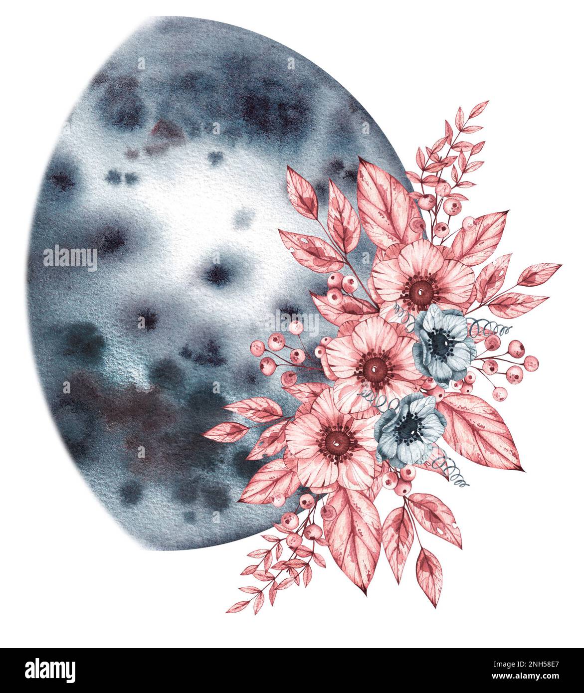 Watercolor phase of the moon with flowers on a white background for ...