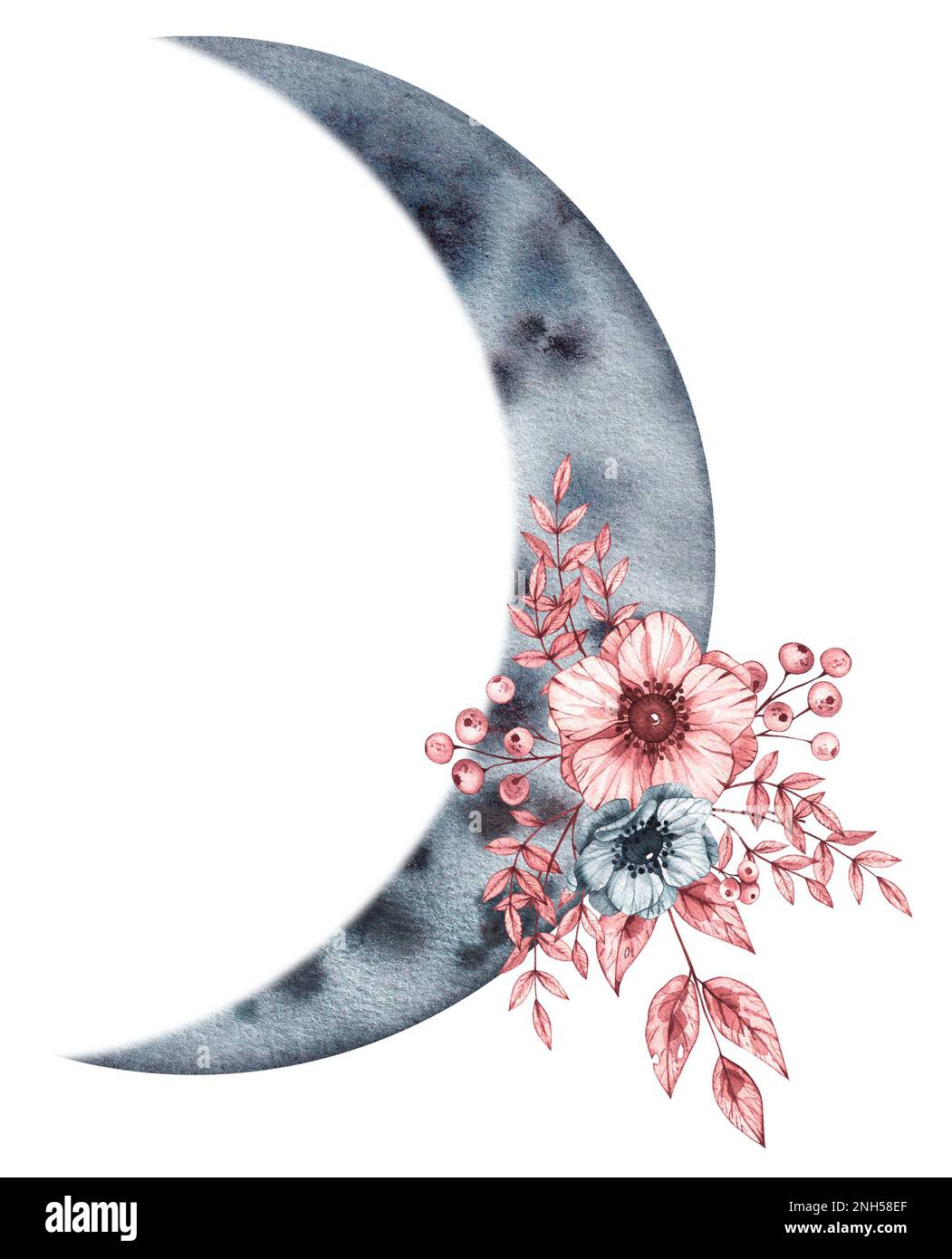 Watercolor phase of the moon with flowers on a white background for ...
