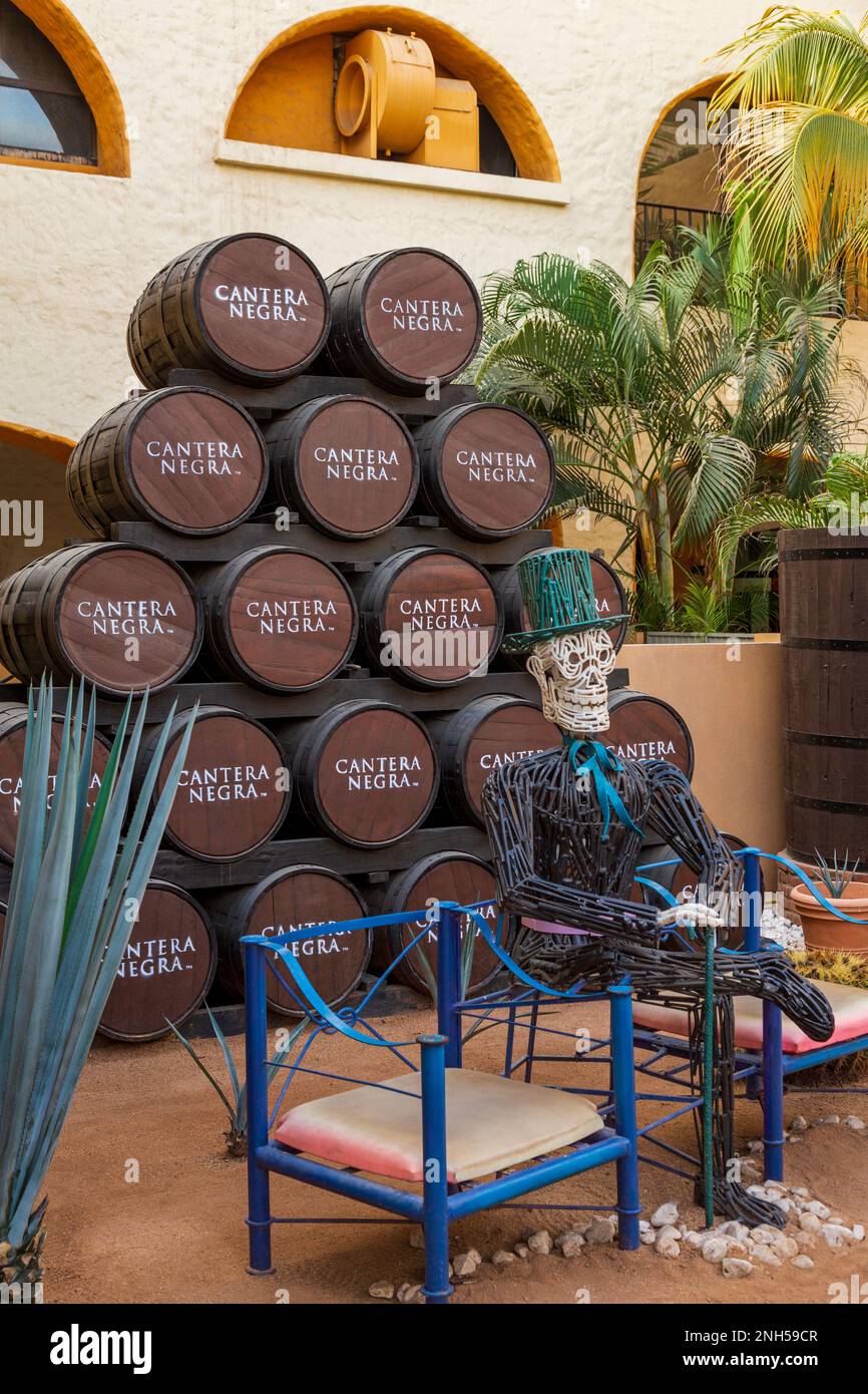 Tequila Lighthouse, Cabo San Lucas, Baja California Sur, Mexico Stock