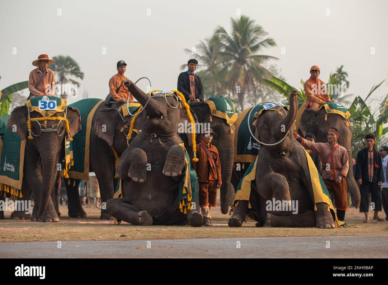 Xayaboury, Laos. 20th Feb, 2023. Elephants perform at the Elephant Festival in Xayaboury, Laos, on Feb. 20, 2023. Credit: Kaikeo Saiyasane/Xinhua/Alamy Live News Stock Photo