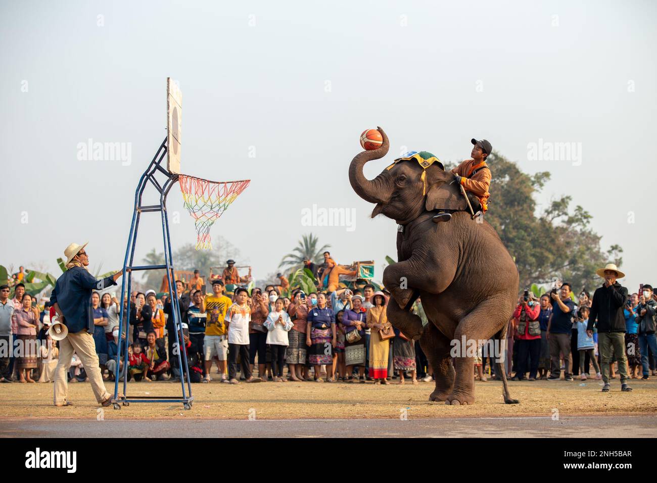 Xayaboury, Laos. 20th Feb, 2023. Visitors watch an elephant's