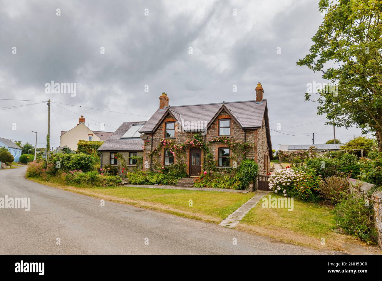 Large local style detached house with pink roses round the front door in Marloes, a small village on the Marloes Peninsula, Pembrokeshire, west Wales Stock Photo
