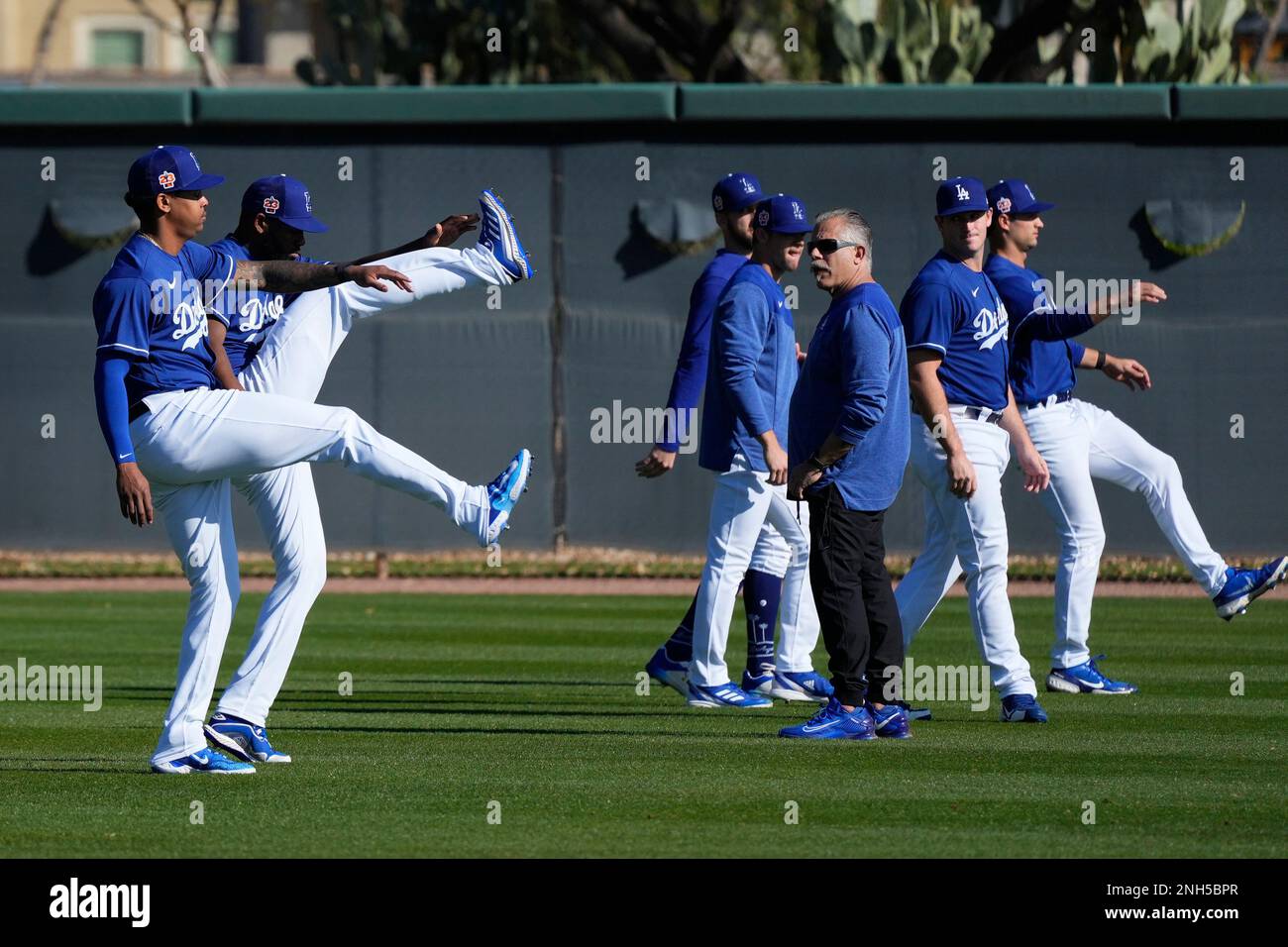 Los Angeles Dodgers players stretch during spring training baseball