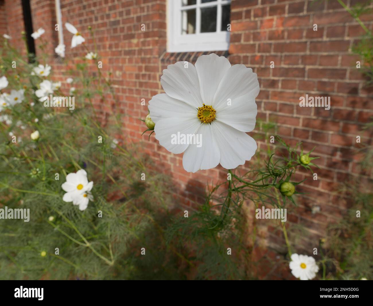 Red House, Bexleyheath, Kent, England Stock Photo Alamy