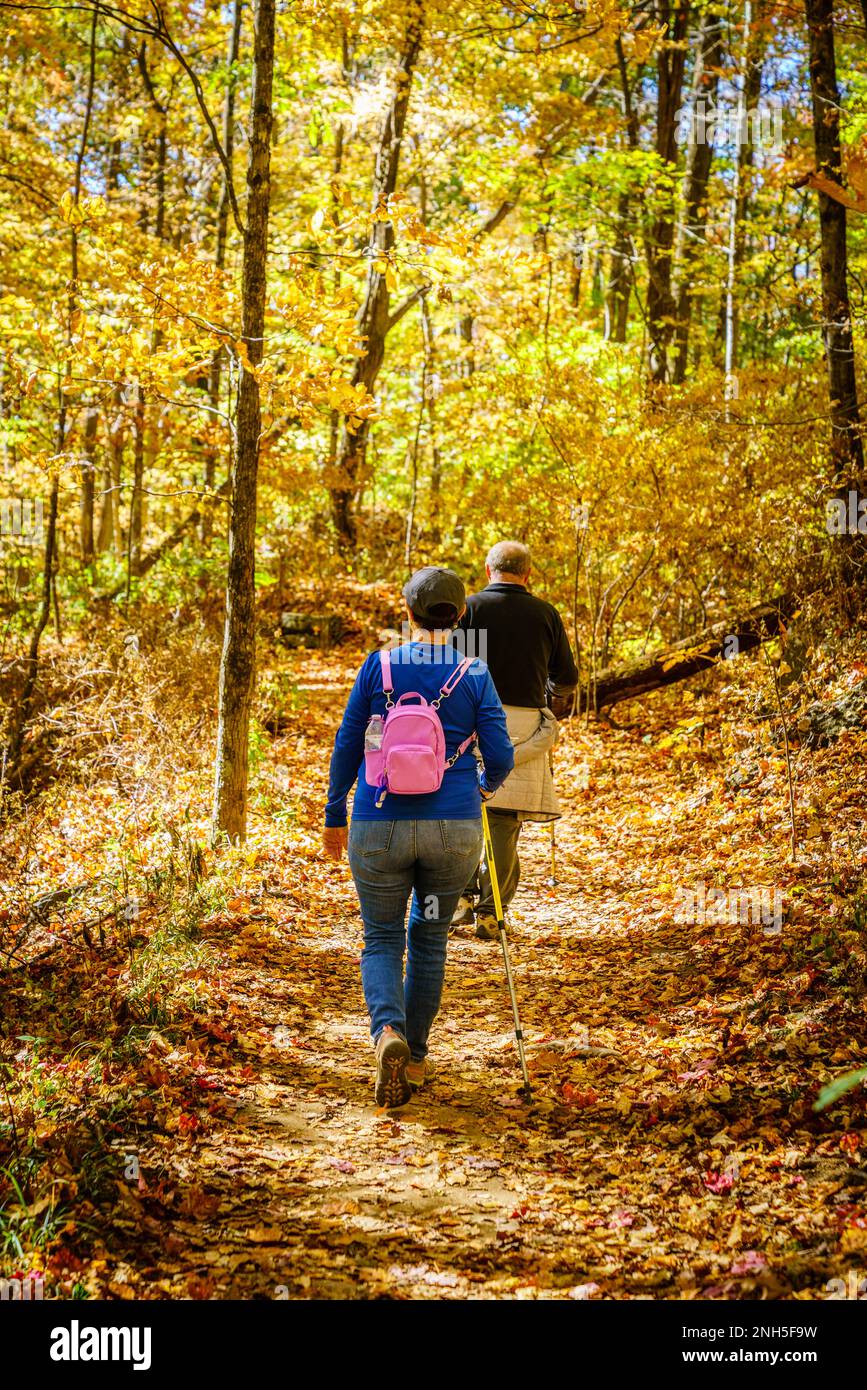 Senior couple is hiking in the woods in North Carolina in fall Stock Photo
