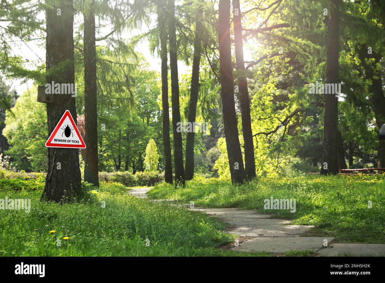 Warning sign Beware of ticks in forest on sunny day Stock Photo