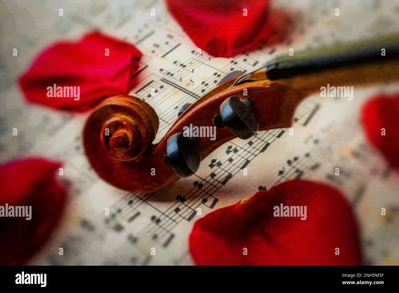 Violin Close Up Stock Photo Alamy