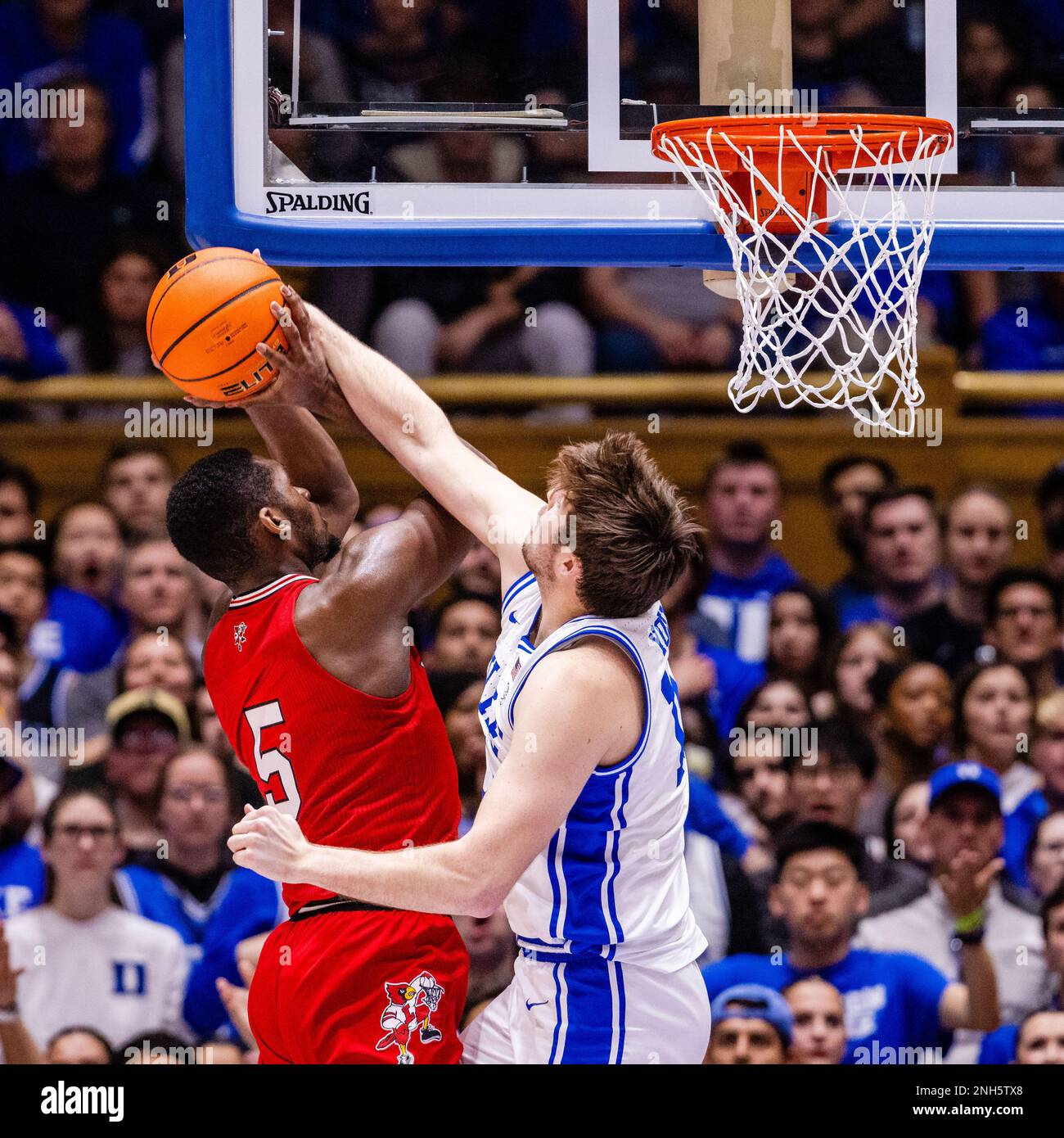 2023 0130 jpg hires stock photography and images Alamy