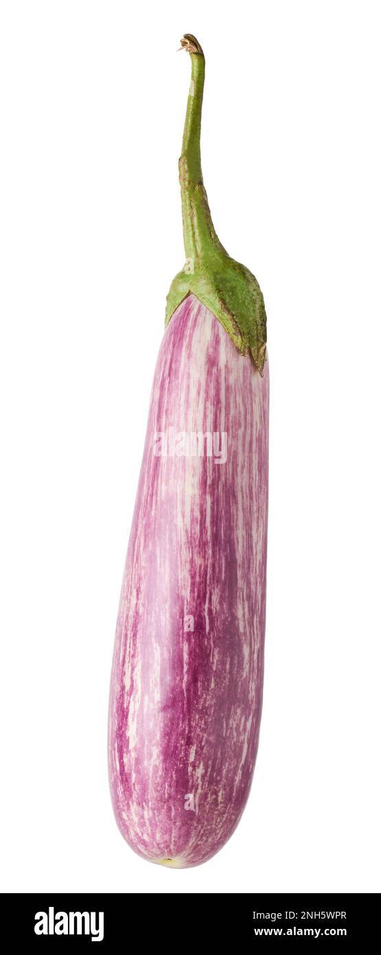 eggplant or brinjal, also known as aubergine, common vegetable isolated on white background Stock Photo