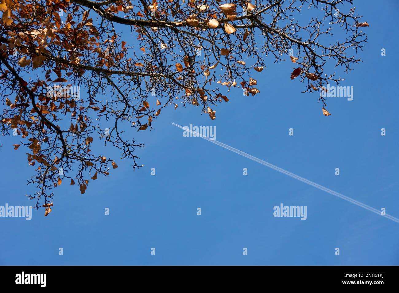 Contrail passenger jet hi-res stock photography and images - Alamy