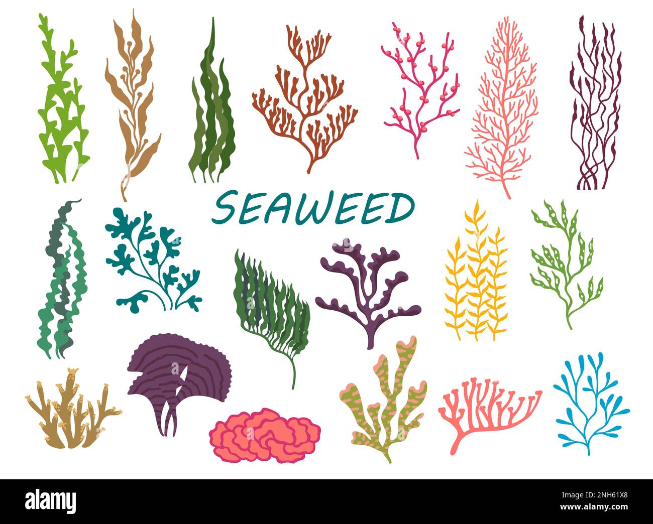 Underwater seaweed plants. Aquarium water algae, coral reef undersea deep weed or ocean isolated vector plants. Fucus, Lamunaria, Rhodymenia, Macrocys Stock Vector