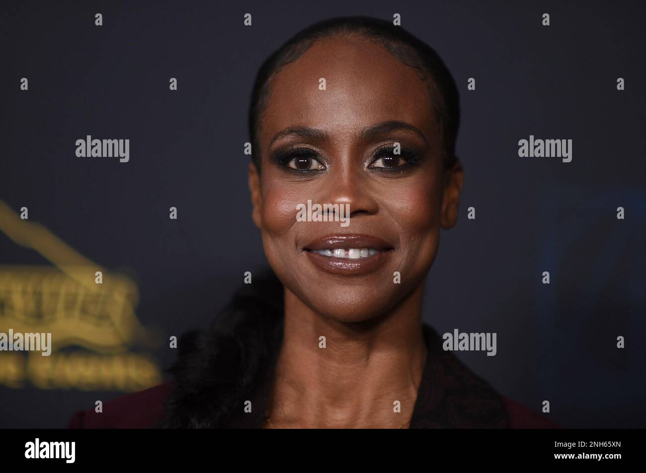 Hannah Beachler arrives at the 27th annual Art Directors Guild Awards