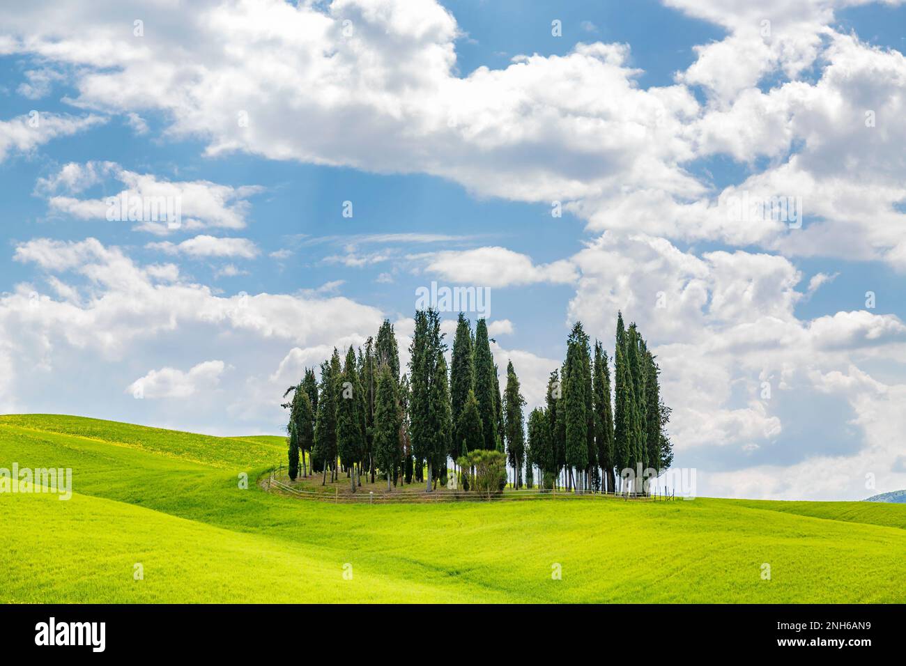 Field trees sky summer hi-res stock photography and images - Alamy