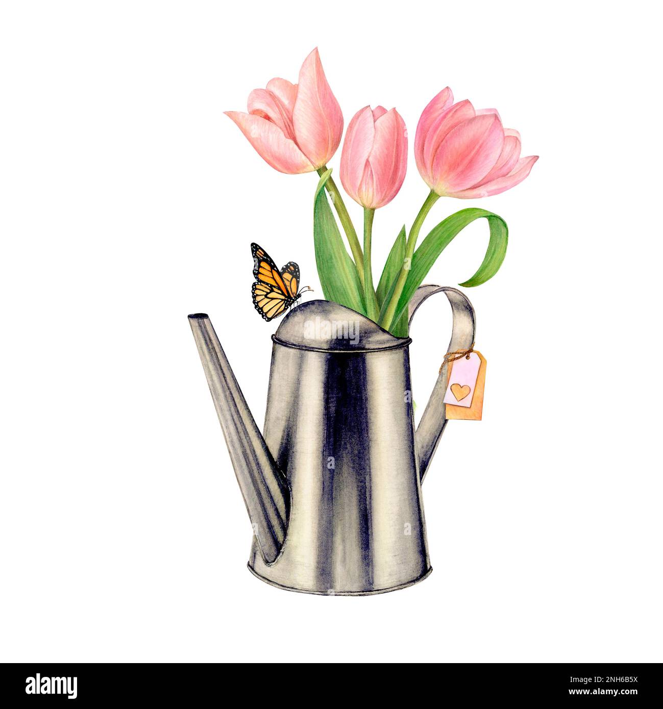 iron watering can garden watercolor with a bouquet of pink tulips and a butterfly  Stock Photo