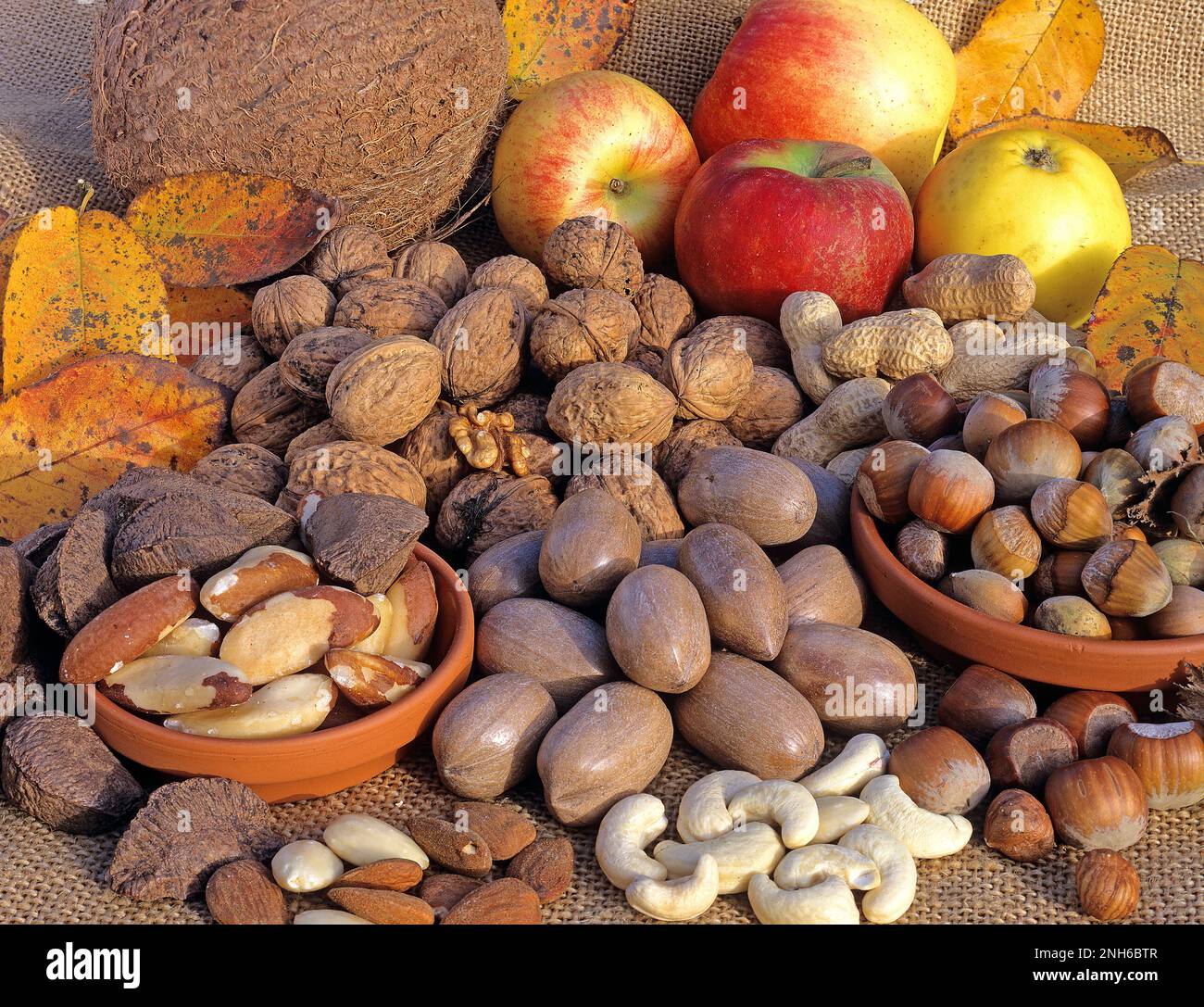 Various nuts, still-life: Brazil-nuts, almonds, pecannuts, cashewnuts, hazelnuts,  walnuts, coconuts, Peanuts (which are no nuts but have just this na Stock Photo