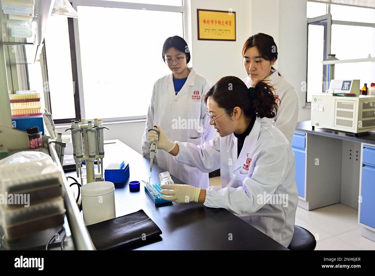 Agriculture experiments hi-res stock photography and images - Alamy