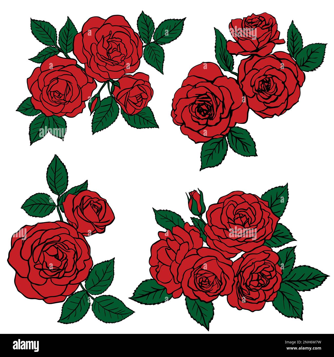 red roses sketch