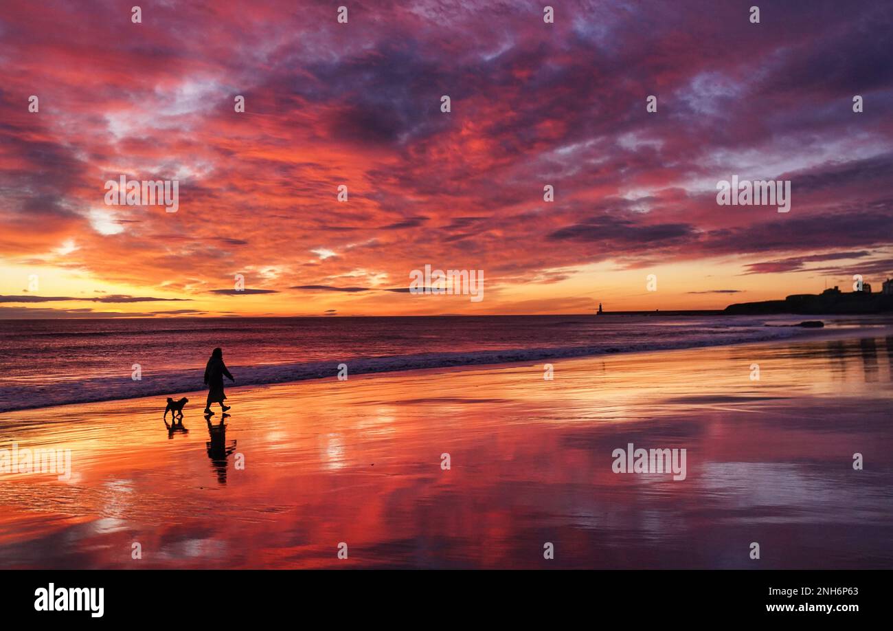 Stunning colours before sunrise as people walk their dogs on Tynemouth Longsands beach in Tynemouth on the North east coast. Picture date: Tuesday February 21, 2023. Stock Photo