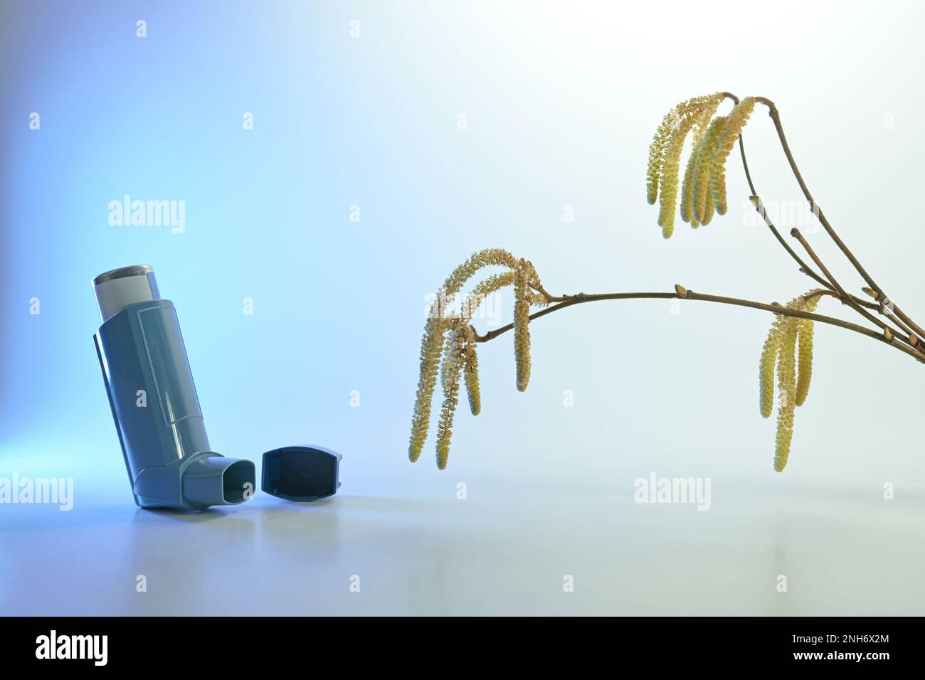 Inhaler with allergy spray and hazel branches with male catkins, pollen