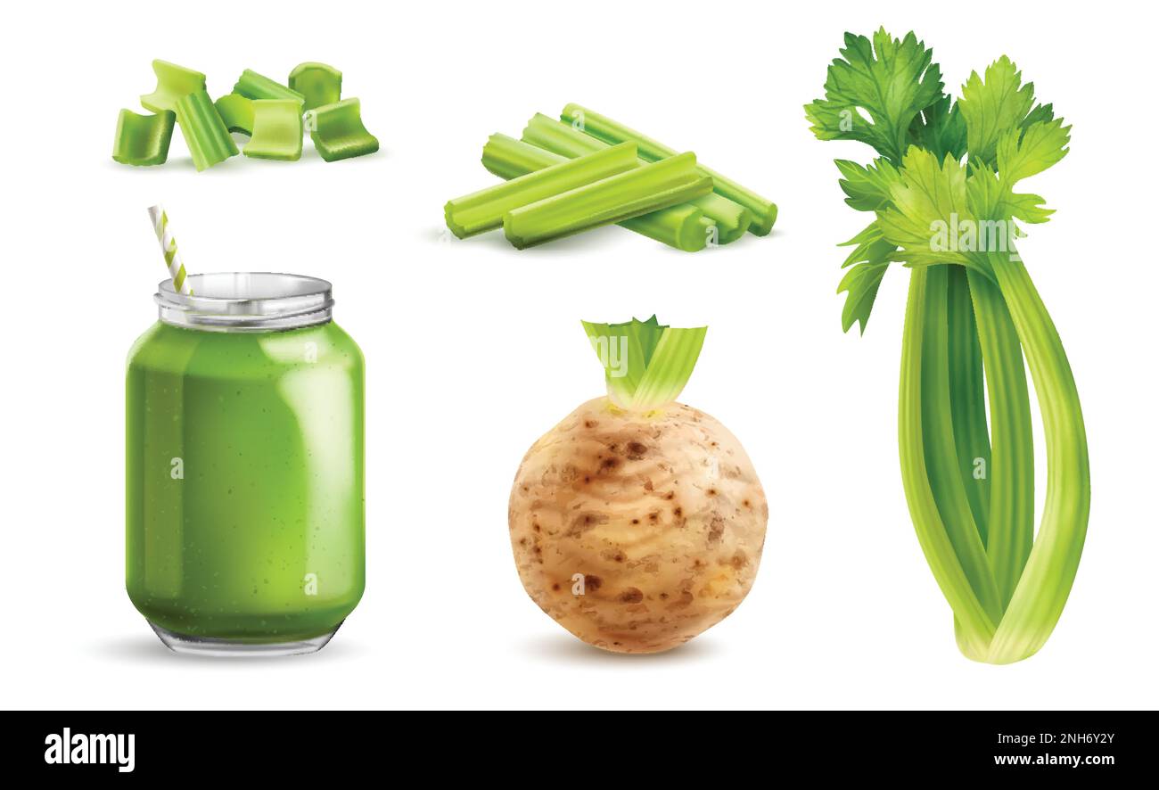 Realistic celery icon set chunks of sliced stem round root and green