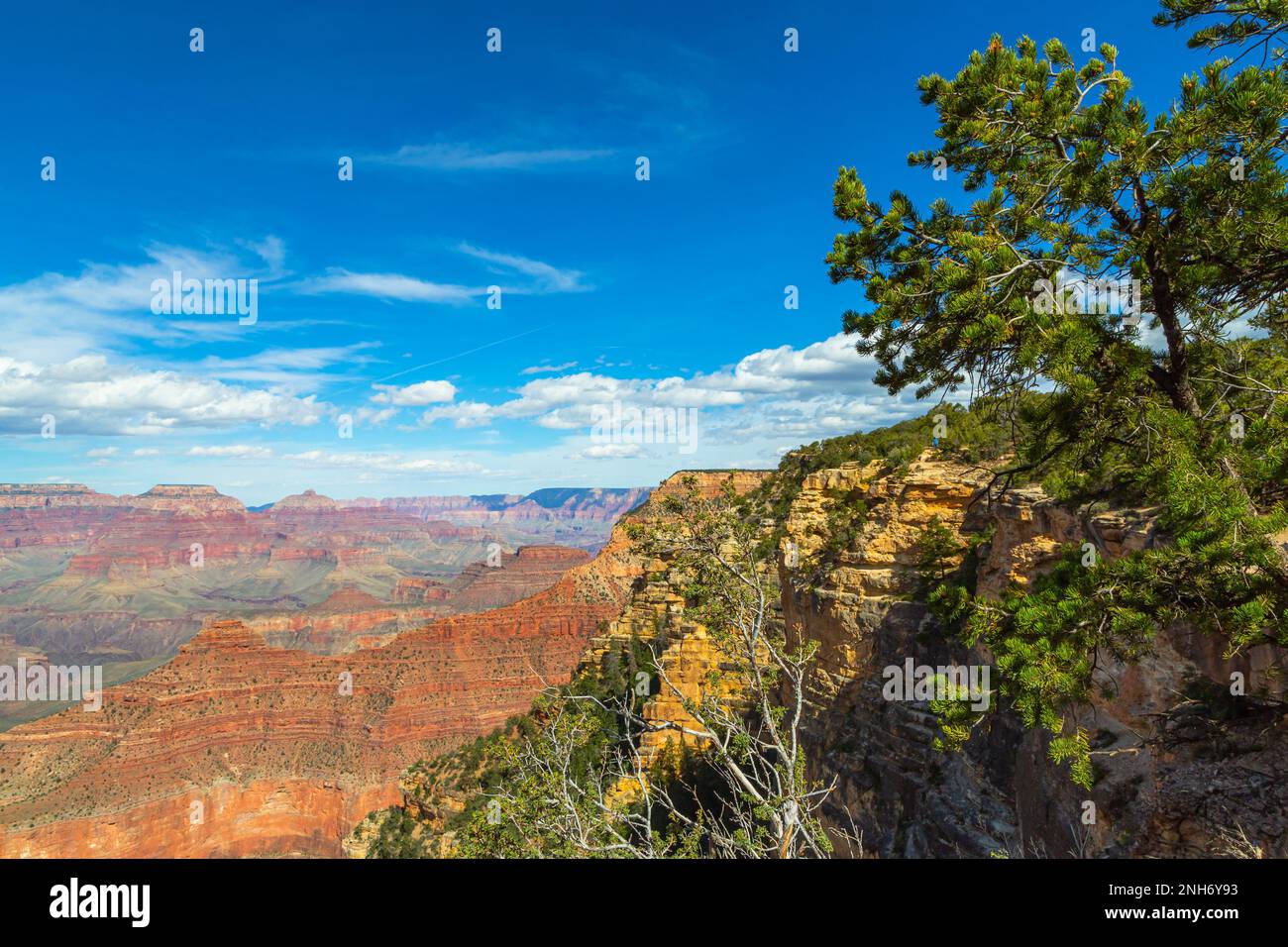 Grand Canyon in Arizona, USA. Skyline of Grand Canyon National Park. Panorama in beautiful nature landscape scenery at sunset in Grand Canyon National Park. Stock Photo
