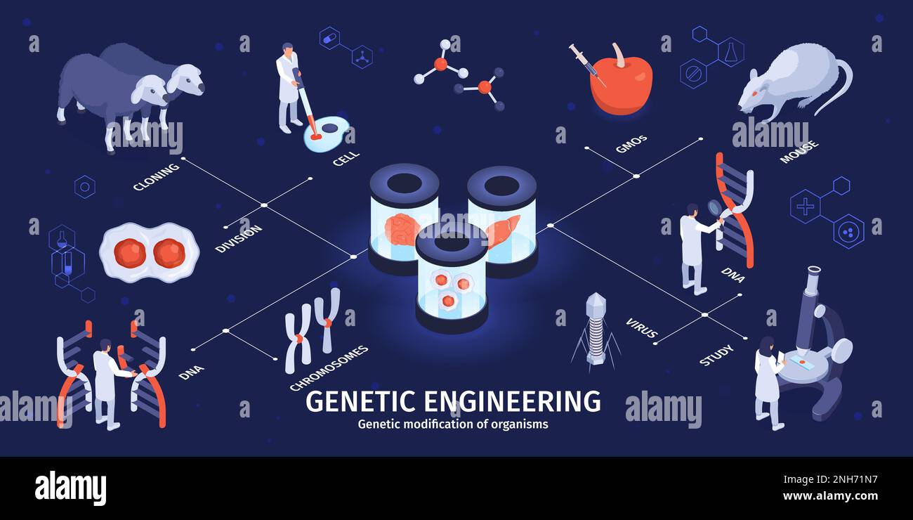 Isometric engineering infographics with cells cloning and virus