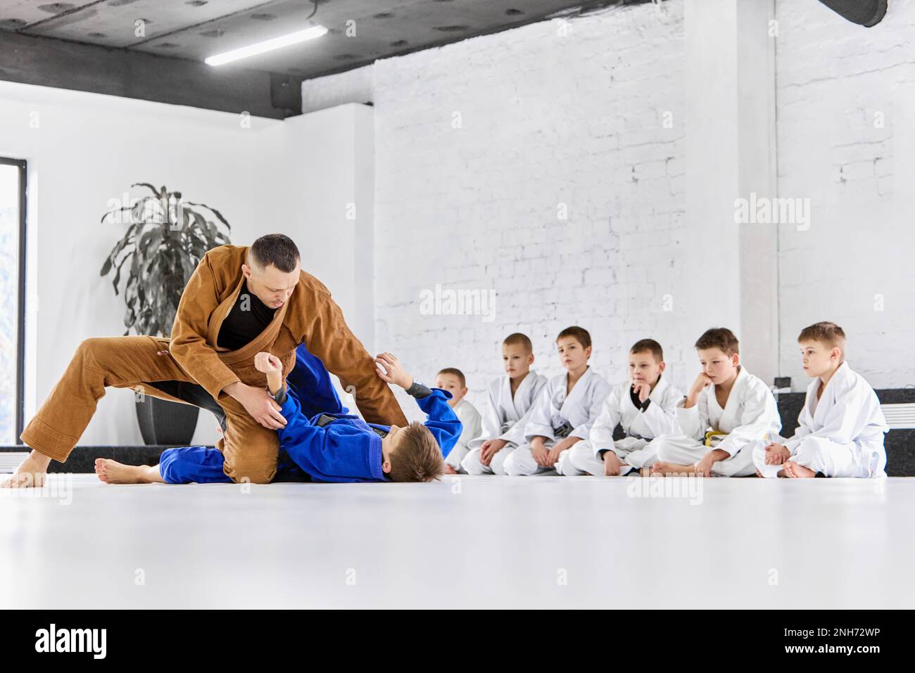 Teacher, professional judo, jiu jitsu coach training, teaching kinds